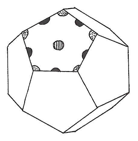 Figure 142: Dodecahedron