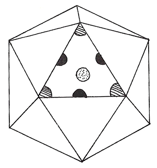 Figure 144: Icosahedron