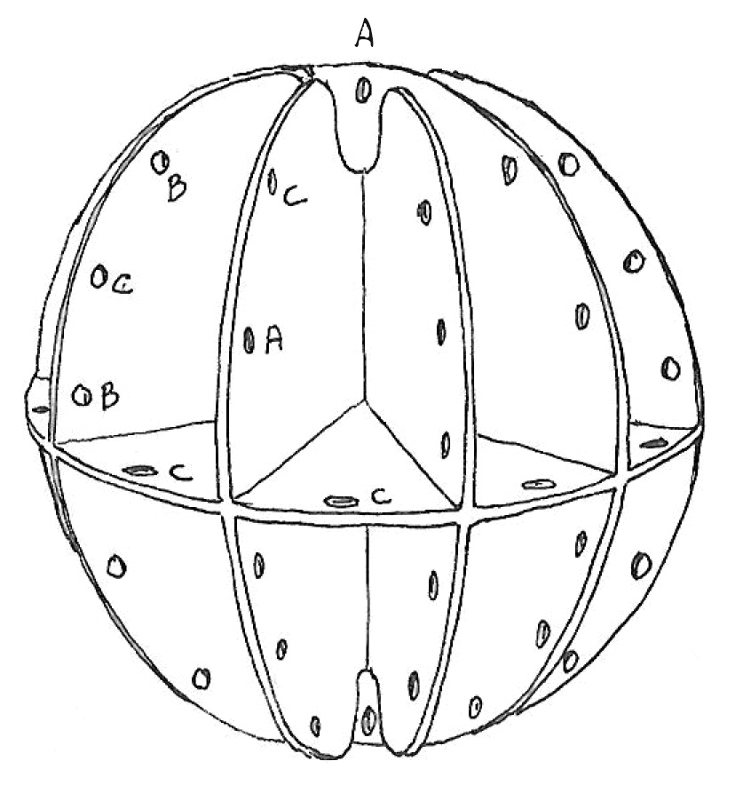 Figure 153: Six interlocking disks